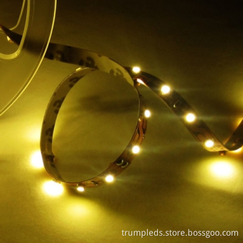 2012 New Technology Top 12v SMD 3528 LED Flexible Strip Light